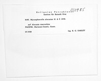 Image Associated With the Occurrence